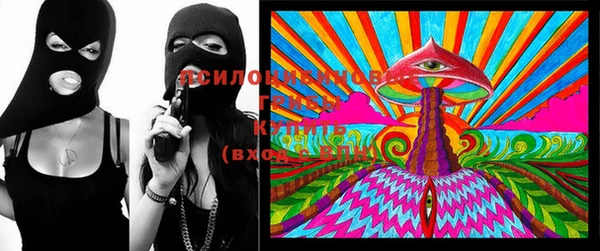 гидропоника Верхний Тагил
