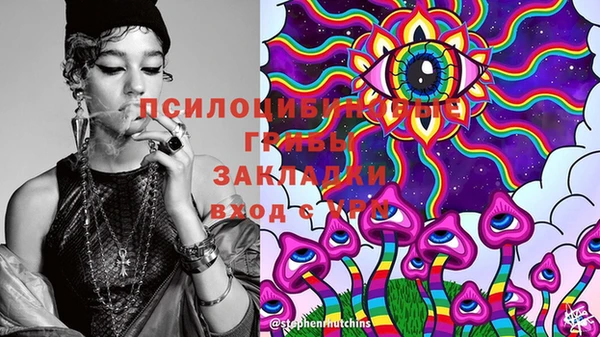 прущие грибы Бугульма