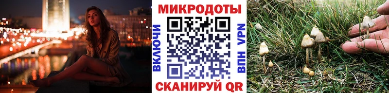 hydra ССЫЛКА  Егорьевск  Галлюциногенные грибы Magic Shrooms 