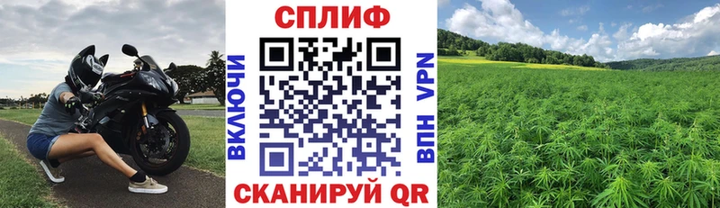 Конопля Ganja  где купить наркоту  Егорьевск 